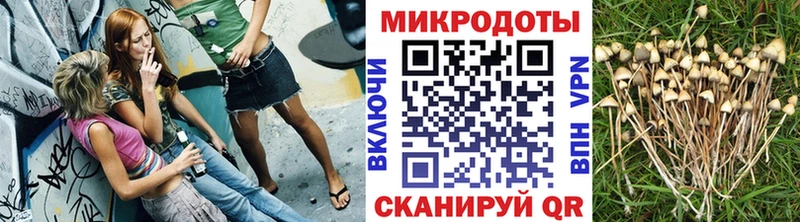 кракен зеркало  Полтавская  Псилоцибиновые грибы MAGIC MUSHROOMS  купить закладку 